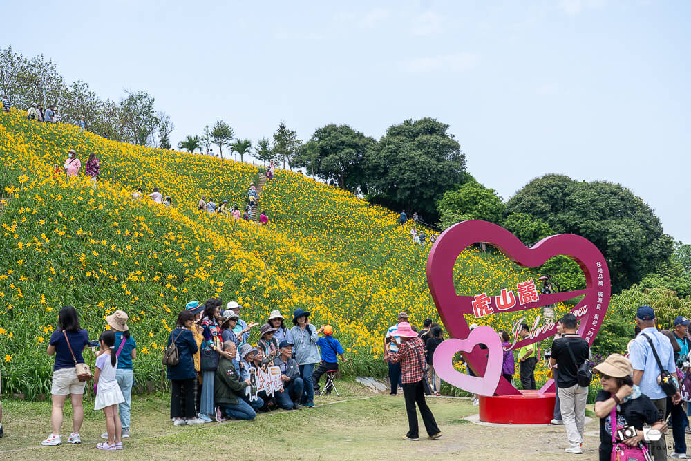 中部賞花景點推薦,彰化一日遊,彰化免費景點,彰化景點,彰化花壇景點,彰化花海,彰化親子景點,彰化賞花景點,彰化金針花海,母親節景點推薦,花壇虎山巖,花東金針花海替代景點,虎山巖交通停車,虎山巖金針花 @捲毛阿偉 虎山巖金針花, 彰化金針花海, 花壇虎山巖,彰化景點, 彰化花壇景點, 彰化賞花景點, 彰化免費景點, 母親節景點推薦, 彰化一日遊, 彰化親子景點, 花東金針花海替代景點, 虎山巖交通停車, 彰化花海, 中部賞花景點推薦
