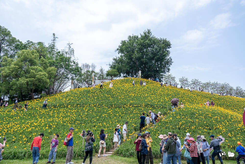 中部賞花景點推薦,彰化一日遊,彰化免費景點,彰化景點,彰化花壇景點,彰化花海,彰化親子景點,彰化賞花景點,彰化金針花海,母親節景點推薦,花壇虎山巖,花東金針花海替代景點,虎山巖交通停車,虎山巖金針花 @捲毛阿偉 虎山巖金針花, 彰化金針花海, 花壇虎山巖,彰化景點, 彰化花壇景點, 彰化賞花景點, 彰化免費景點, 母親節景點推薦, 彰化一日遊, 彰化親子景點, 花東金針花海替代景點, 虎山巖交通停車, 彰化花海, 中部賞花景點推薦