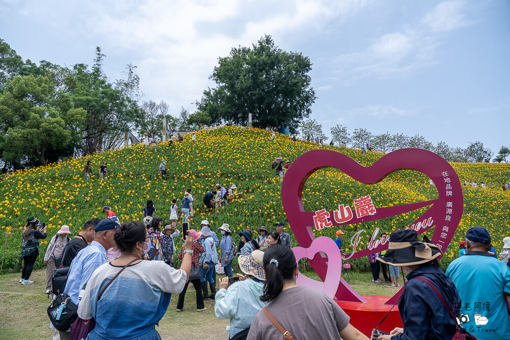中部賞花景點推薦,彰化一日遊,彰化免費景點,彰化景點,彰化花壇景點,彰化花海,彰化親子景點,彰化賞花景點,彰化金針花海,母親節景點推薦,花壇虎山巖,花東金針花海替代景點,虎山巖交通停車,虎山巖金針花 @捲毛阿偉 虎山巖金針花, 彰化金針花海, 花壇虎山巖,彰化景點, 彰化花壇景點, 彰化賞花景點, 彰化免費景點, 母親節景點推薦, 彰化一日遊, 彰化親子景點, 花東金針花海替代景點, 虎山巖交通停車, 彰化花海, 中部賞花景點推薦