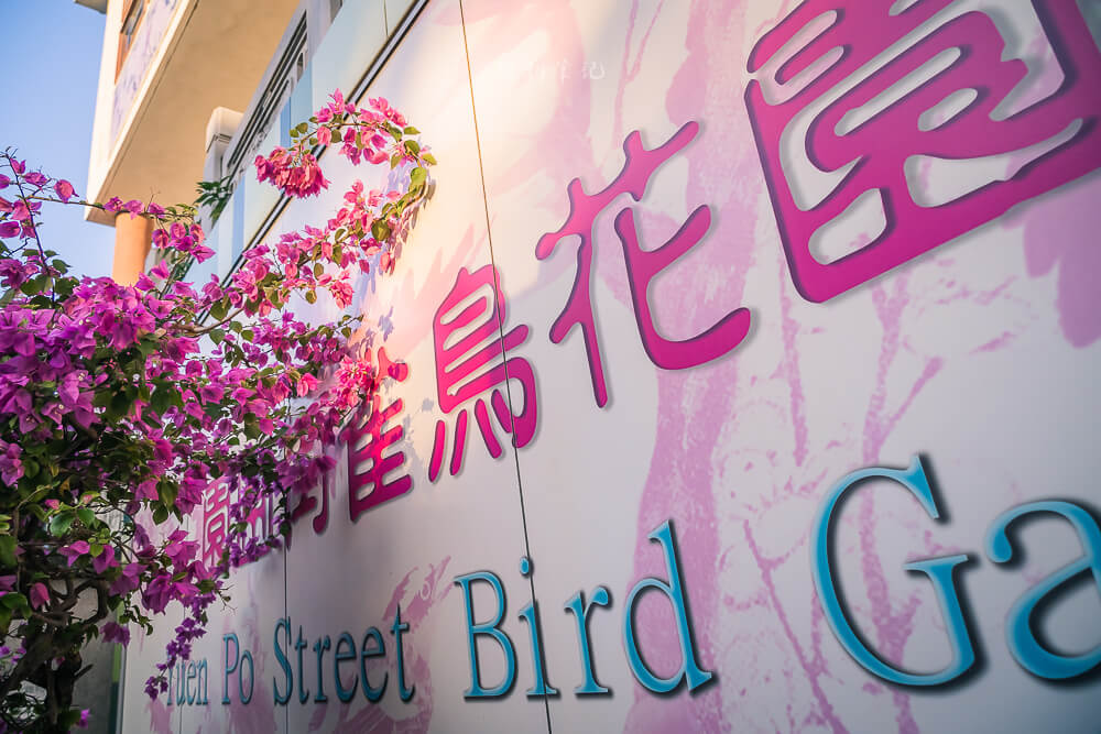 香港鳥街,園圃街雀鳥花園,園圃街雀鳥花園營業時間,旺角園圃街雀鳥花園,雀仔街,旺角雀仔街