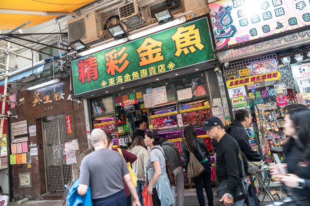 金魚街,香港美食,香港景點,旺角美食,金魚街評價,香港特色街道 金魚街,香港美食,香港景點,旺角美食,金魚街評價,香港特色街道