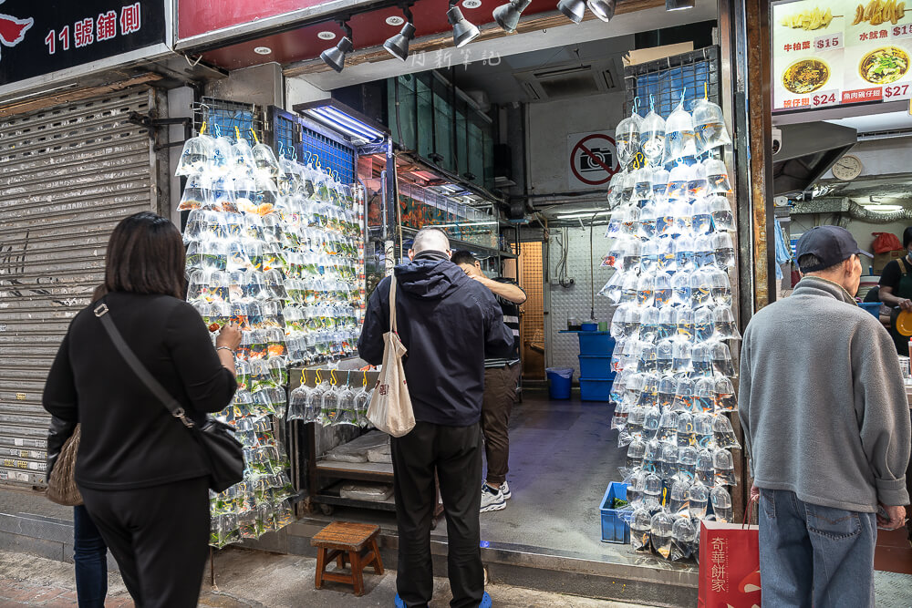 金魚街,香港美食,香港景點,旺角美食,金魚街評價,香港特色街道