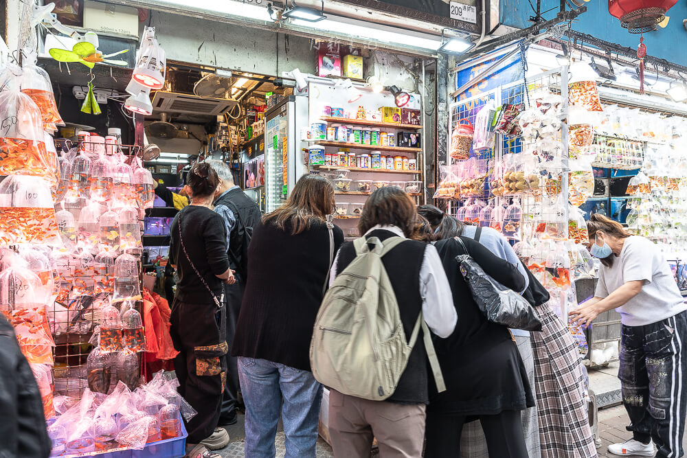 金魚街,香港美食,香港景點,旺角美食,金魚街評價,香港特色街道