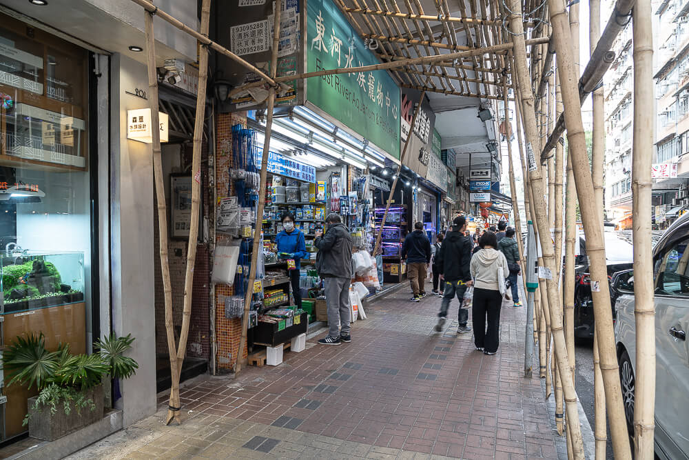 金魚街,香港美食,香港景點,旺角美食,金魚街評價,香港特色街道 金魚街,香港美食,香港景點,旺角美食,金魚街評價,香港特色街道