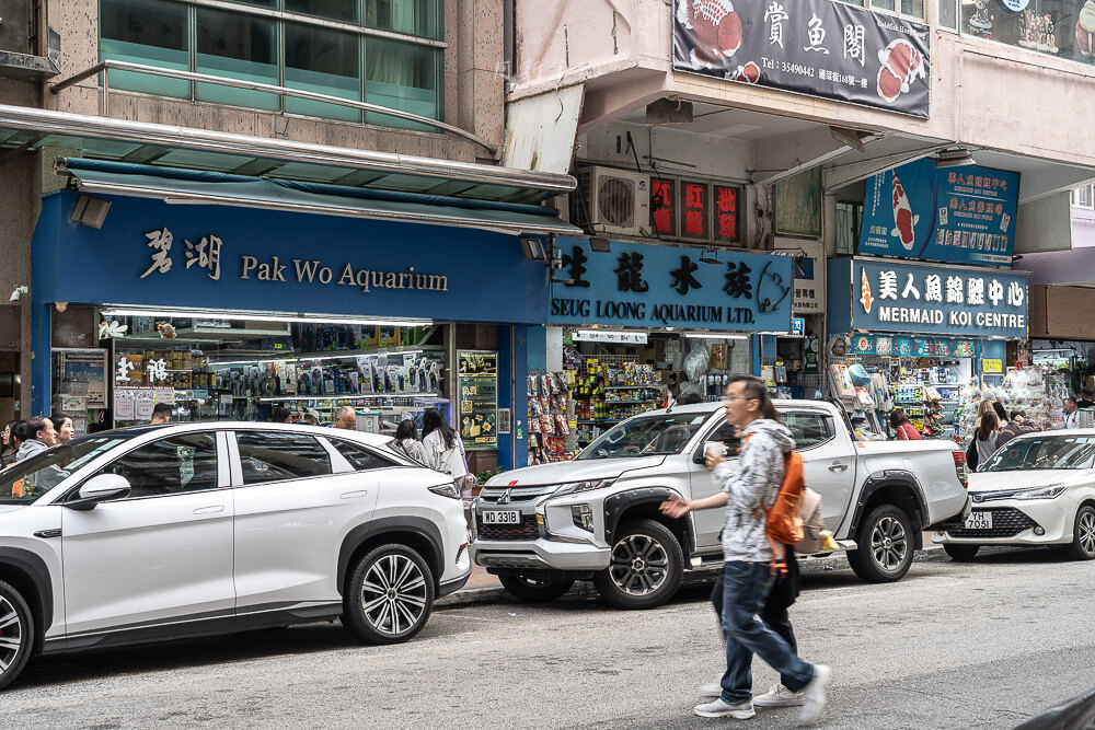 金魚街,香港美食,香港景點,旺角美食,金魚街評價,香港特色街道
