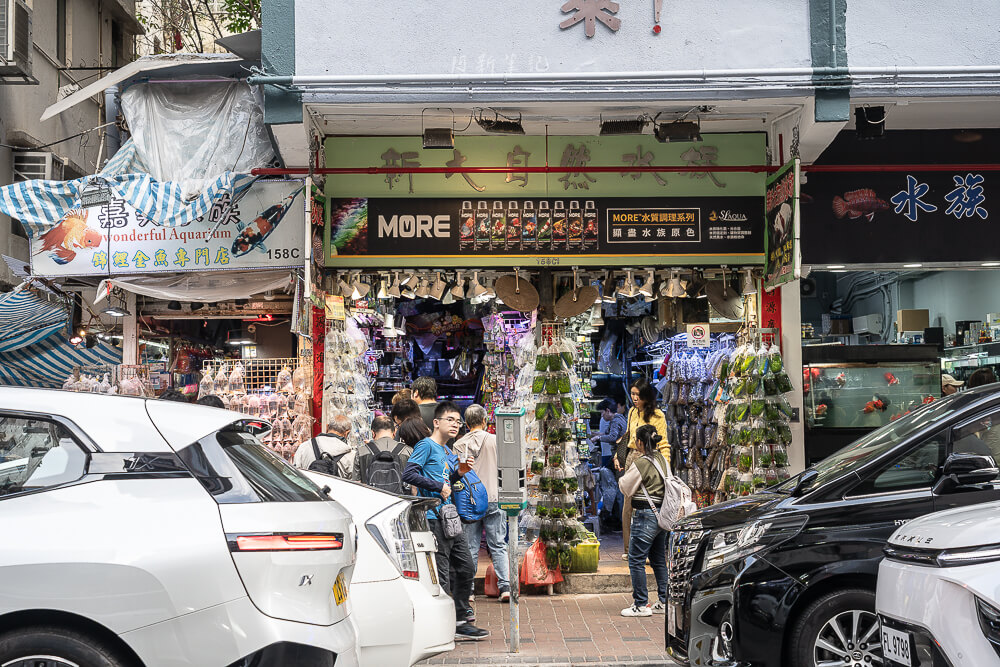 金魚街,香港美食,香港景點,旺角美食,金魚街評價,香港特色街道