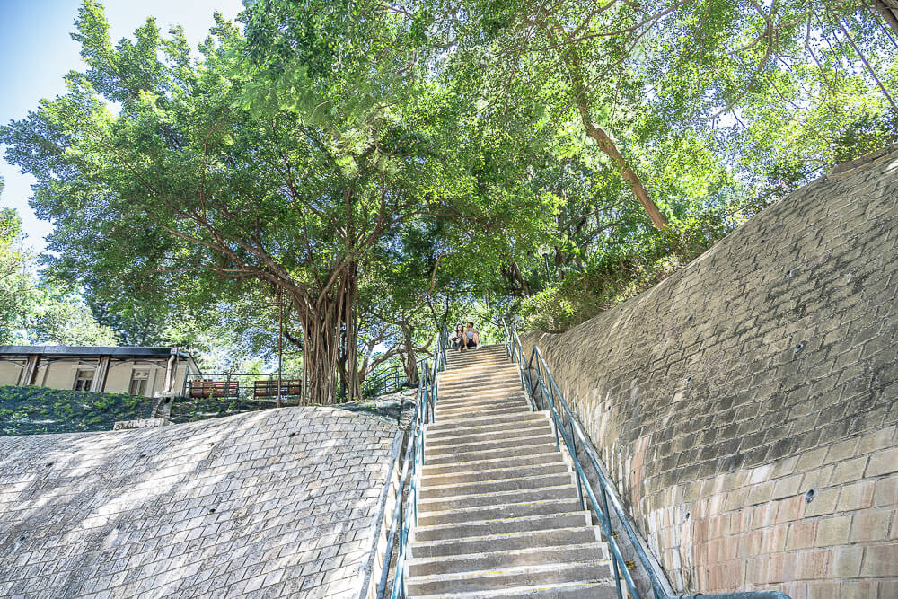 訊號山花園,香港景點,尖沙咀景點,訊號山,訊號塔,香港公園 訊號山花園,香港景點,尖沙咀景點,訊號山,訊號塔,香港公園