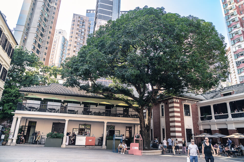 香港大館,大館,大館收費,大館地鐵出口,大館開放時間,大館歷史,大館門票,香港景點,中環景點 香港大館,大館,大館收費,大館地鐵出口,大館開放時間,大館歷史,大館門票,香港景點,中環景點