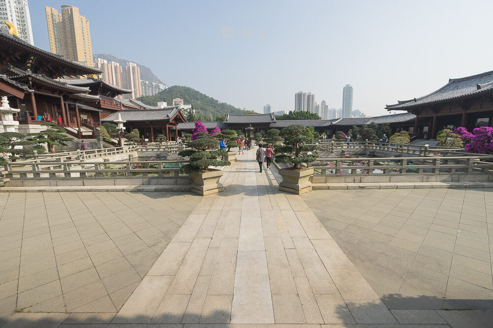 斧山公園 西蓮園 |香港經典景點，漫遊、散步，占地遼闊大公園。
