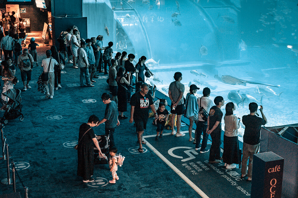 美麗海水族館,沖繩美麗海水族館,沖繩水族館,美麗海水族館門票,美麗海水族館表演時間,沖繩景點 美麗海水族館 黑潮之海大水槽前人潮