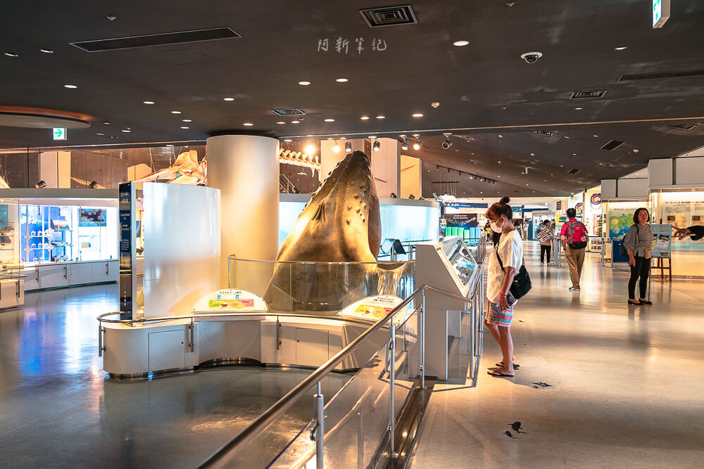 美麗海水族館,沖繩美麗海水族館,沖繩水族館,美麗海水族館門票,美麗海水族館表演時間,沖繩景點 美麗海水族館 1 樓大廳鯨鯊模型展示