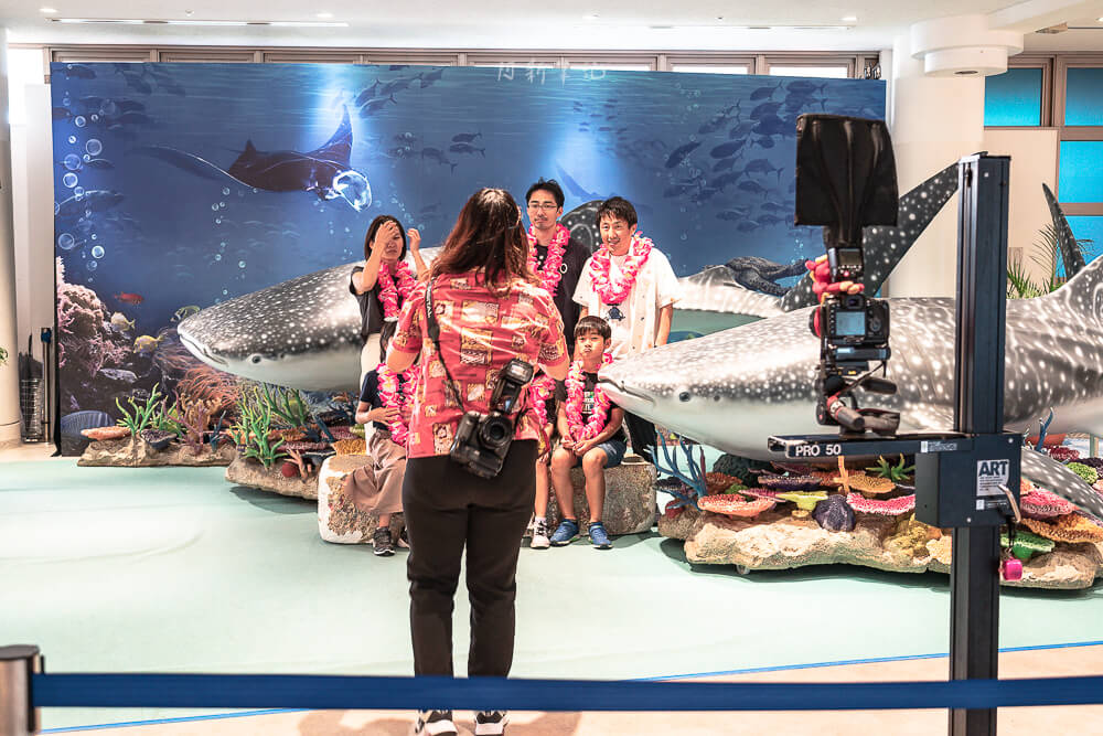 美麗海水族館,沖繩美麗海水族館,沖繩水族館,美麗海水族館門票,美麗海水族館表演時間,沖繩景點 美麗海水族館 鯨鯊模型合照拍照區