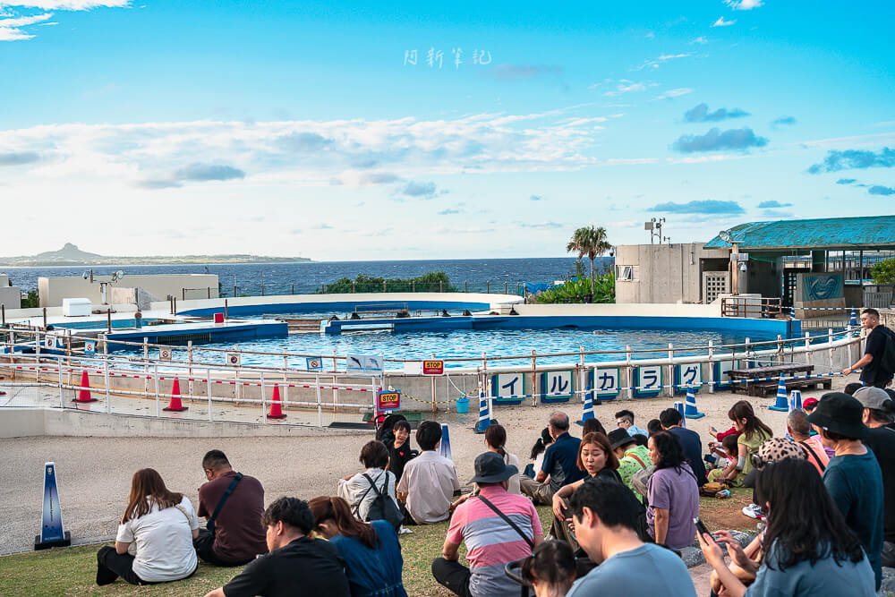 美麗海水族館,沖繩美麗海水族館,沖繩水族館,美麗海水族館門票,美麗海水族館表演時間,沖繩景點 海洋博公園 海豚表演觀眾席與海景