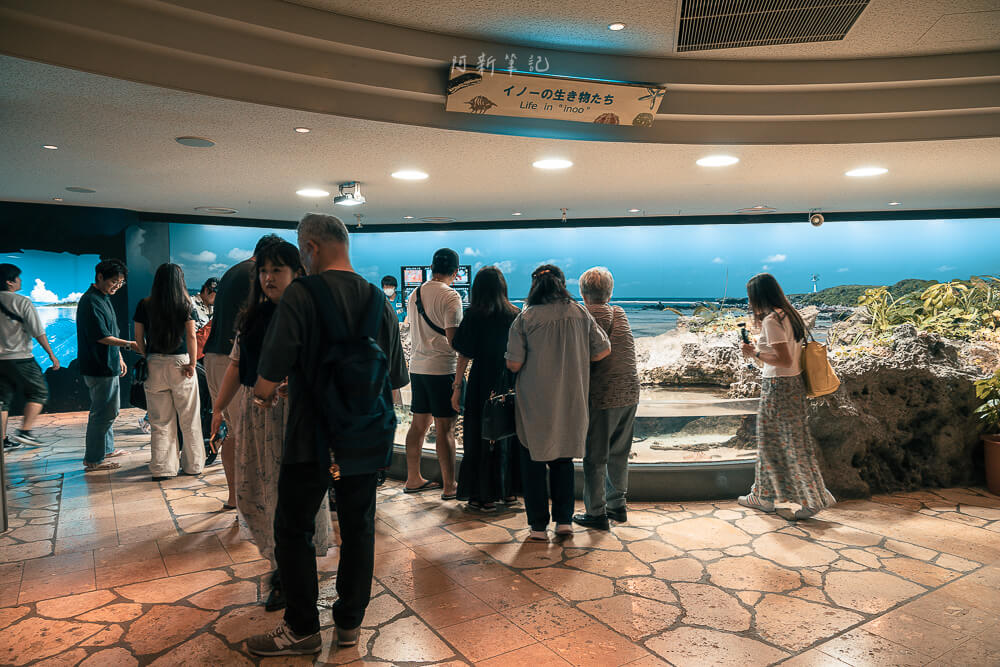 美麗海水族館,沖繩美麗海水族館,沖繩水族館,美麗海水族館門票,美麗海水族館表演時間,沖繩景點 美麗海水族館 珊瑚礁區展示走道