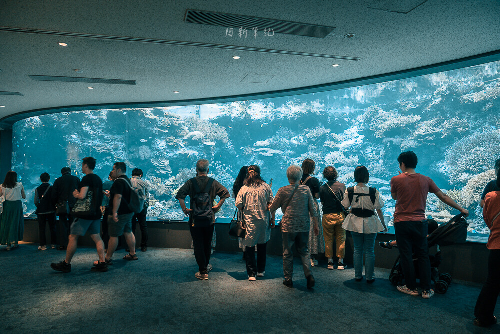 美麗海水族館,沖繩美麗海水族館,沖繩水族館,美麗海水族館門票,美麗海水族館表演時間,沖繩景點 美麗海水族館 珊瑚之海大水槽與參觀人潮