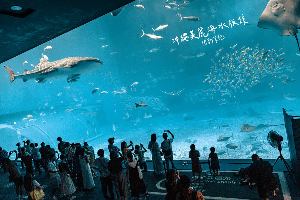 美麗海水族館,沖繩美麗海水族館,沖繩水族館,美麗海水族館門票,美麗海水族館表演時間,沖繩景點 美麗海水族館 黑潮之海大水槽 鯨鯊與魟魚