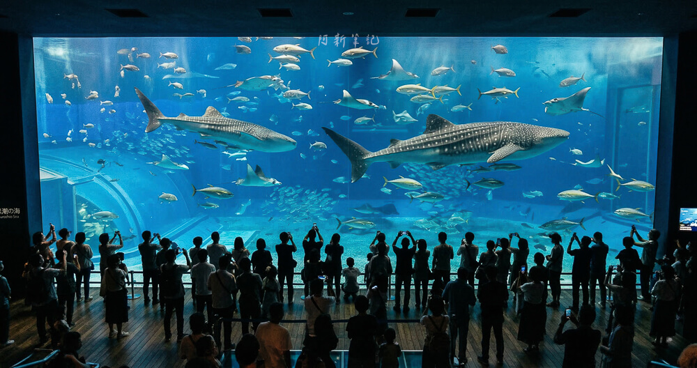沖繩北部 美麗海水族館周邊海景