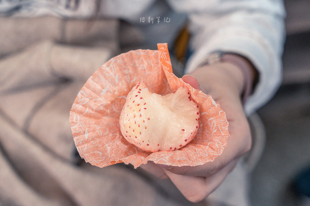 阿綿手工麻糬,阿綿麻糬,阿綿麻糬菜單,阿綿麻糬草莓大福,鹽埕 阿綿麻糬,高雄美食,高雄小吃,高雄美食推薦,高雄小吃推薦