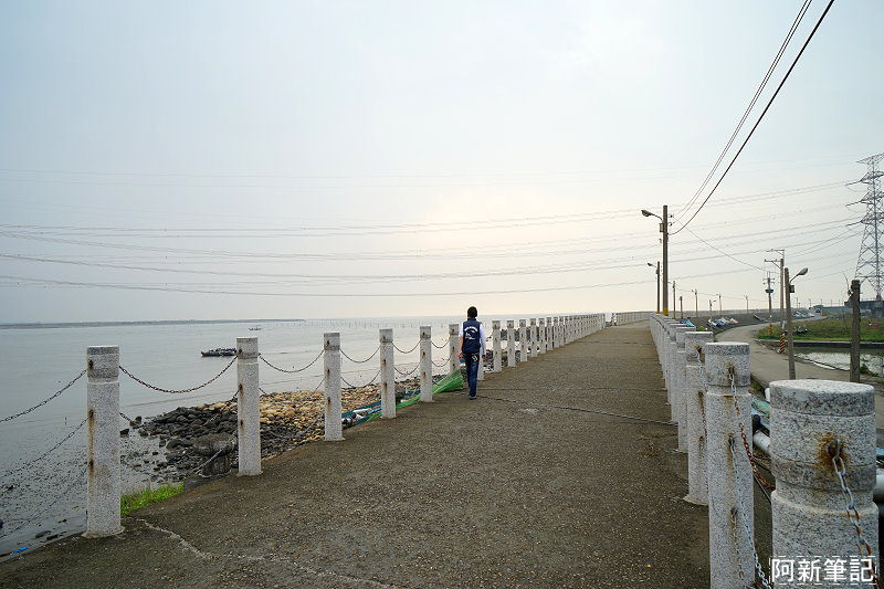 台中麗水漁港-20