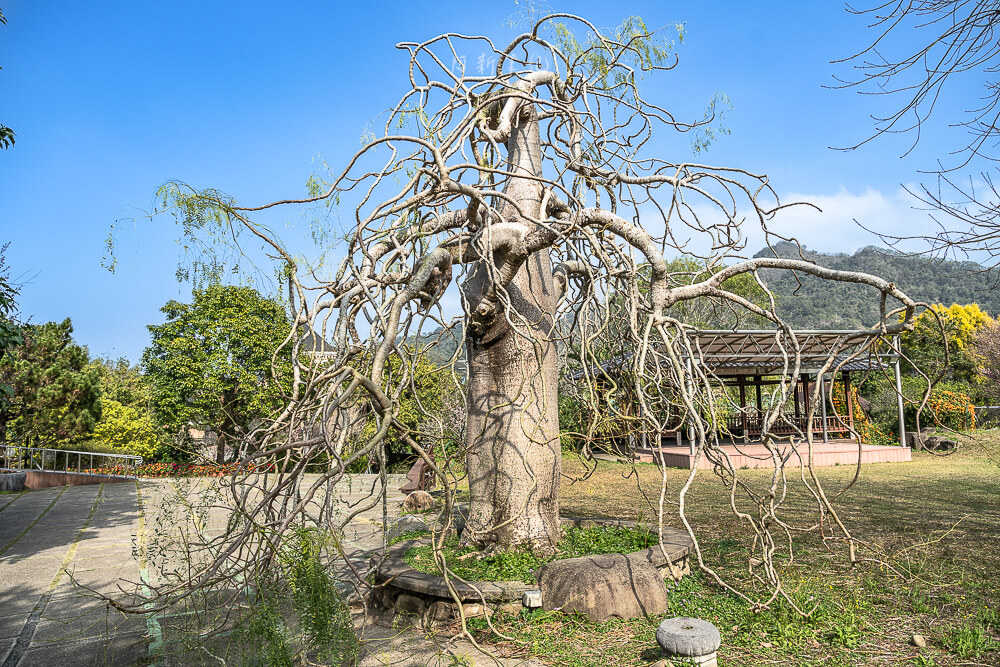 苗栗景點,苗栗觀光工廠,苗栗大湖景點,苗栗好好玩,大湖景點,苗栗莊園,苗栗親子景點,巧克力雲莊,苗栗室內景點,苗栗大湖,苗栗大湖城堡,苗栗巧克力雲莊,苗栗,草莓冰淇淋,巧克力夢想館,苗栗草莓,巧克力歐風城堡,苗栗主題故事館,苗栗好玩親子景點,苗栗主題休閒園區,苗栗巧克力故事館,苗栗大湖景點推薦 苗栗景點,苗栗觀光工廠,苗栗大湖景點,苗栗好好玩,大湖景點,苗栗莊園,苗栗親子景點,巧克力雲莊,苗栗室內景點,苗栗大湖,苗栗大湖城堡,苗栗巧克力雲莊,苗栗,草莓冰淇淋,巧克力夢想館,苗栗草莓,巧克力歐風城堡,苗栗主題故事館,苗栗好玩親子景點,苗栗主題休閒園區,苗栗巧克力故事館,苗栗大湖景點推薦