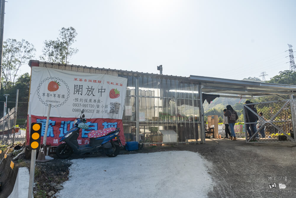 草莓園,大湖採草莓,大湖草莓,大湖高架草莓,苗栗景點,大湖景點