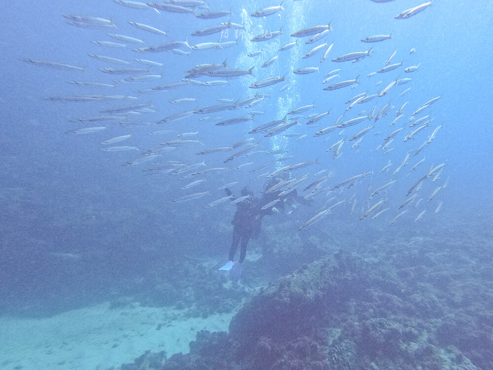 心海潛水中心,心海潛水,心海潛水評價,心海浮潛,墾丁潛水,墾丁浮潛,墾丁SUP,恆春潛水,恆春浮潛,恆春SUP 心海潛水中心,心海潛水,心海潛水評價,心海浮潛,墾丁潛水,墾丁浮潛,墾丁SUP,恆春潛水,恆春浮潛,恆春SUP