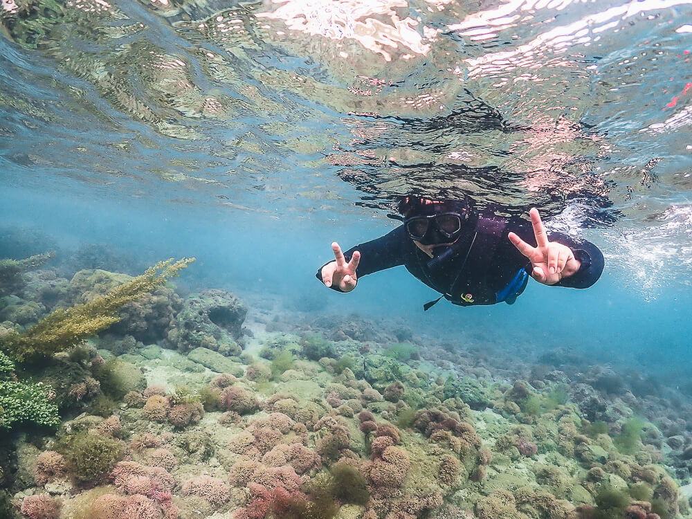 心海潛水中心,心海潛水,心海潛水評價,心海浮潛,墾丁潛水,墾丁浮潛,墾丁SUP,恆春潛水,恆春浮潛,恆春SUP 心海潛水中心,心海潛水,心海潛水評價,心海浮潛,墾丁潛水,墾丁浮潛,墾丁SUP,恆春潛水,恆春浮潛,恆春SUP
