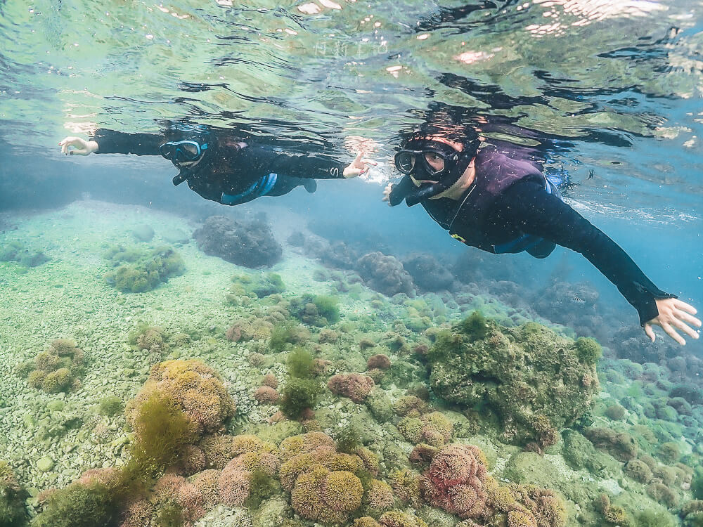 心海潛水中心,心海潛水,心海潛水評價,心海浮潛,墾丁潛水,墾丁浮潛,墾丁SUP,恆春潛水,恆春浮潛,恆春SUP 心海潛水中心,心海潛水,心海潛水評價,心海浮潛,墾丁潛水,墾丁浮潛,墾丁SUP,恆春潛水,恆春浮潛,恆春SUP