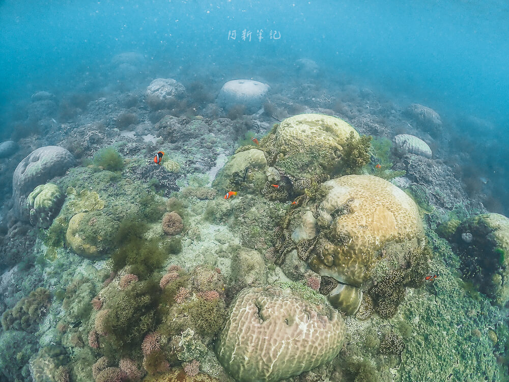 心海潛水中心,心海潛水,心海潛水評價,心海浮潛,墾丁潛水,墾丁浮潛,墾丁SUP,恆春潛水,恆春浮潛,恆春SUP