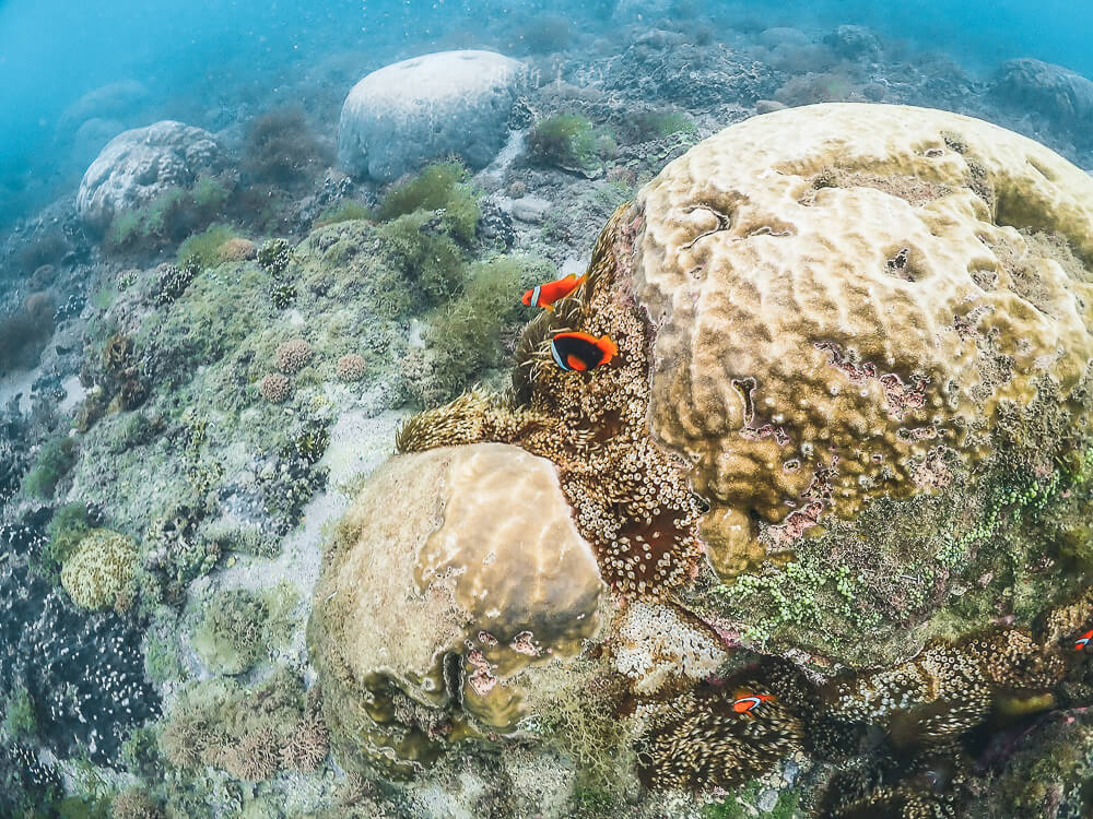 心海潛水中心,心海潛水,心海潛水評價,心海浮潛,墾丁潛水,墾丁浮潛,墾丁SUP,恆春潛水,恆春浮潛,恆春SUP 心海潛水中心,心海潛水,心海潛水評價,心海浮潛,墾丁潛水,墾丁浮潛,墾丁SUP,恆春潛水,恆春浮潛,恆春SUP
