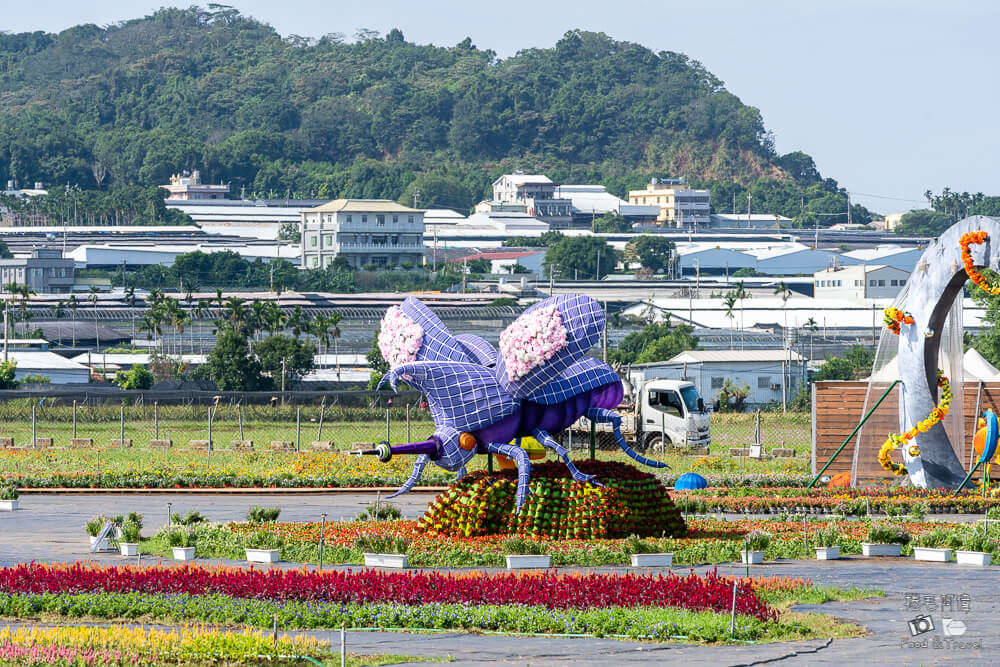 2024台中花毯節,台中花毯節,新社花海,2024新社花海,新社花海行程,新社兩天一夜,新社花海兩天一夜，新社美食,新社餐廳,台中旅遊