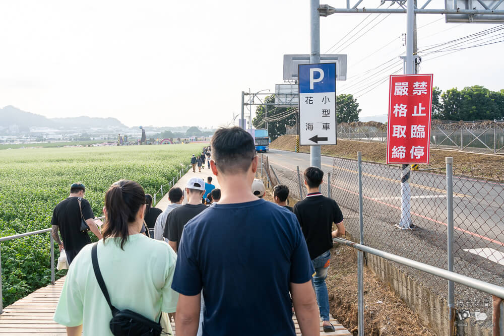 2025新社花海,新社花海,台中國際花毯節,2025 新社花海,新社美食推薦,新社景點,新社花海接駁,新社住宿,台中花海,新社美食,台中景點