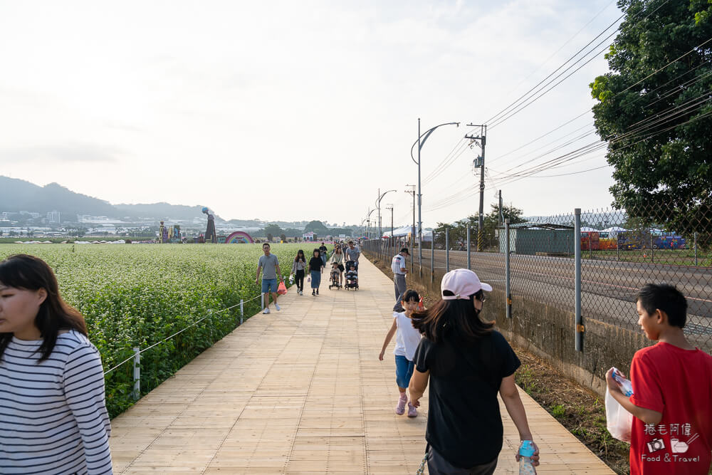 2025新社花海,新社花海,台中國際花毯節,2025 新社花海,新社美食推薦,新社景點,新社花海接駁,新社住宿,台中花海,新社美食,台中景點