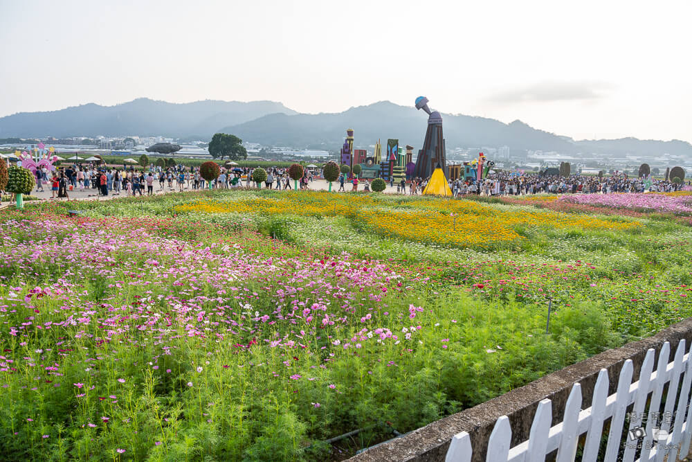 2025新社花海,新社花海,台中國際花毯節,2025 新社花海,新社美食推薦,新社景點,新社花海接駁,新社住宿,台中花海,新社美食,台中景點