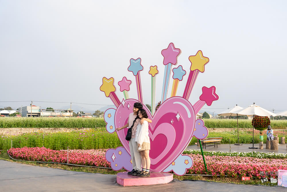 2025新社花海,新社花海,台中國際花毯節,2025 新社花海,新社美食推薦,新社景點,新社花海接駁,新社住宿,台中花海,新社美食,台中景點