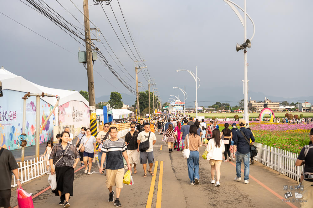 2025新社花海,新社花海,台中國際花毯節,2025 新社花海,新社美食推薦,新社景點,新社花海接駁,新社住宿,台中花海,新社美食,台中景點
