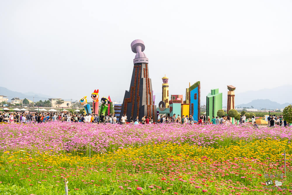 2025新社花海,新社花海,台中國際花毯節,2025 新社花海,新社美食推薦,新社景點,新社花海接駁,新社住宿,台中花海,新社美食,台中景點