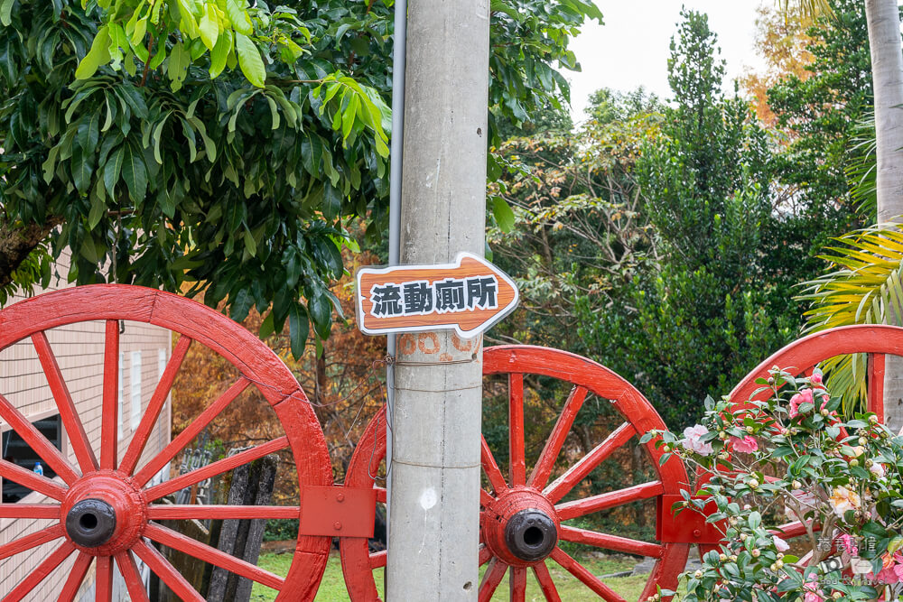 太平苗圃,太平苗圃落羽松,太平景點,太平落羽松,台中景點,台中落羽松