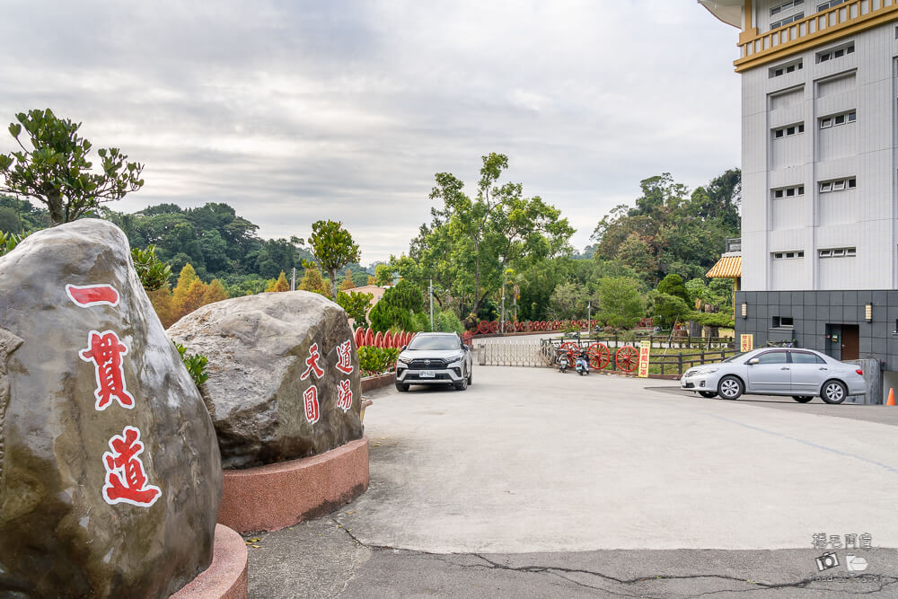 太平苗圃,太平苗圃落羽松,太平景點,太平落羽松,台中景點,台中落羽松