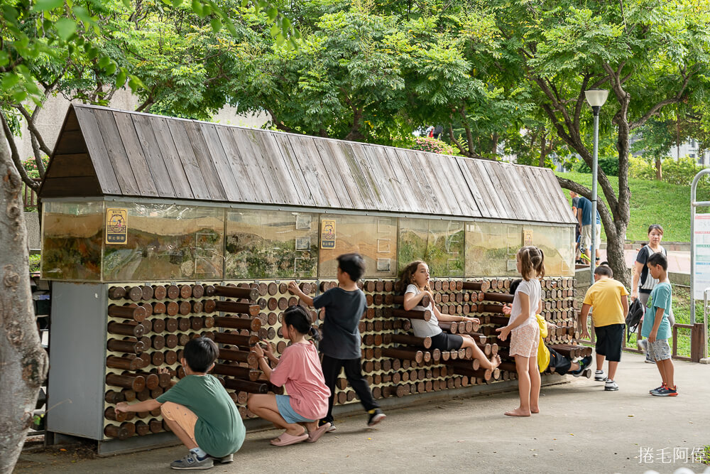 文心森林公園,文心公園,文新森林公園,文新公園,台中南區公園,文心公園站,文心森林公園停車