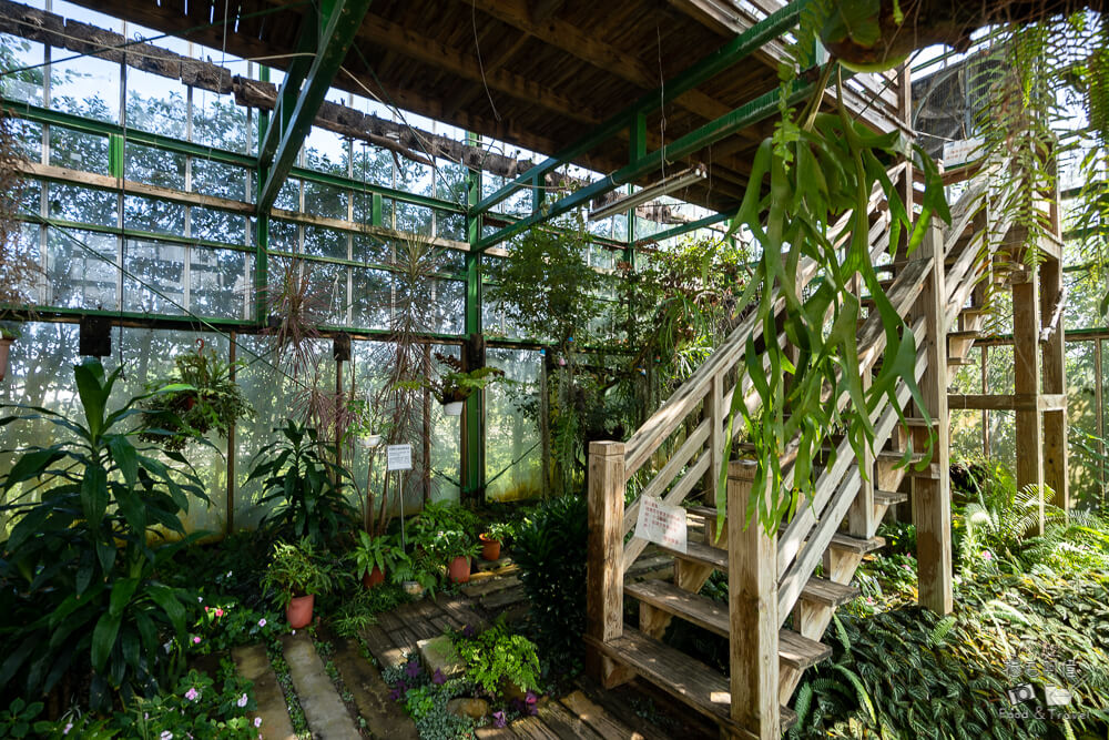 千樺花園餐廳,新社千樺花園餐廳,新社千樺花園,新社美食,新社餐廳,新社旅遊,台中美食,台中餐廳