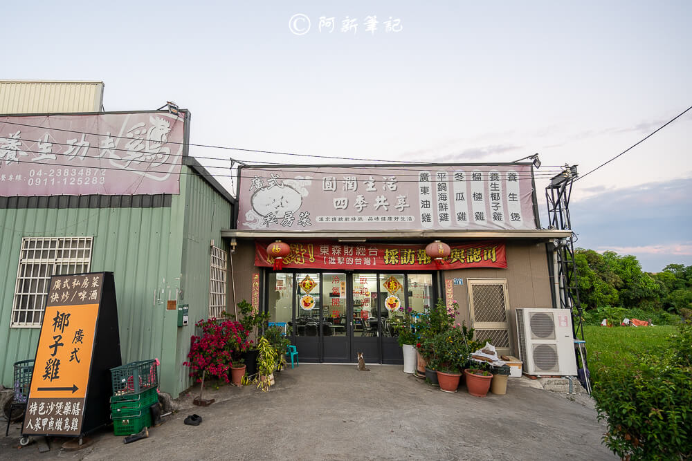 廣式養生功夫雞,廣式功夫雞,養生功夫雞,功夫雞,台中餐廳,台中聚餐,台中美食