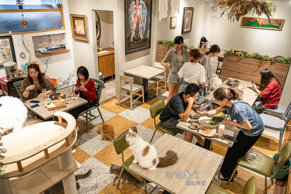 洄流餐食,洄流餐食菜單,回流餐食,一中街貓咪餐廳,一中餐廳,一中寵物餐廳,一中美食,台中美食,台中餐廳