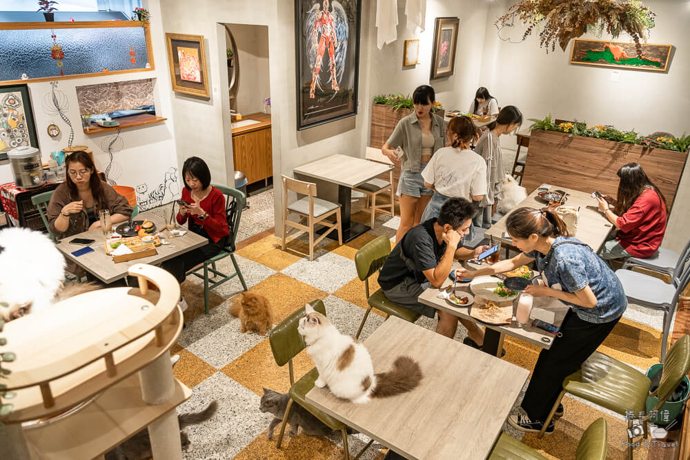 洄流餐食,洄流餐食菜單,回流餐食,一中街貓咪餐廳,一中餐廳,一中寵物餐廳,一中美食,台中美食,台中餐廳