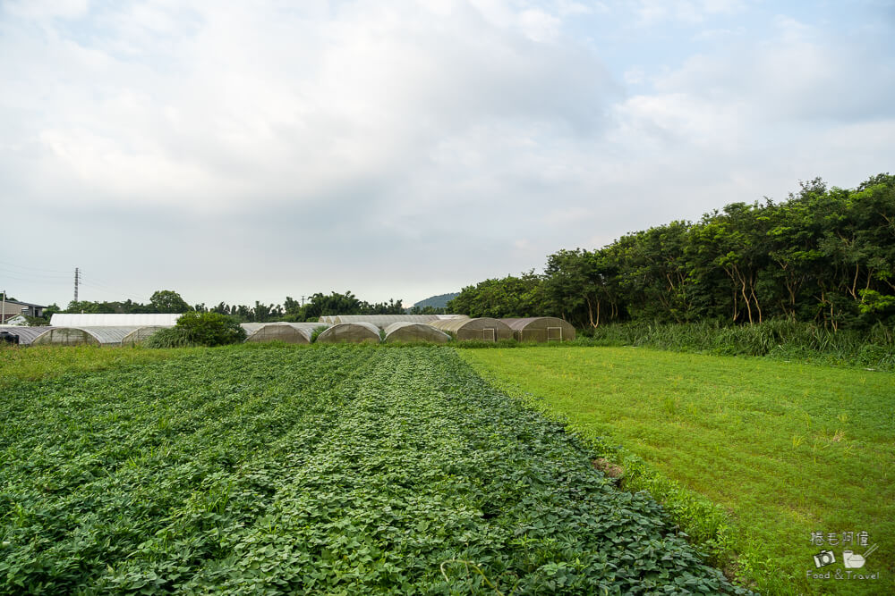 稻香宴,桃園稻香宴,1990稻香宴,大溪稻香宴,大溪活動,康莊休閒農業區,三和木藝,桃園旅遊
