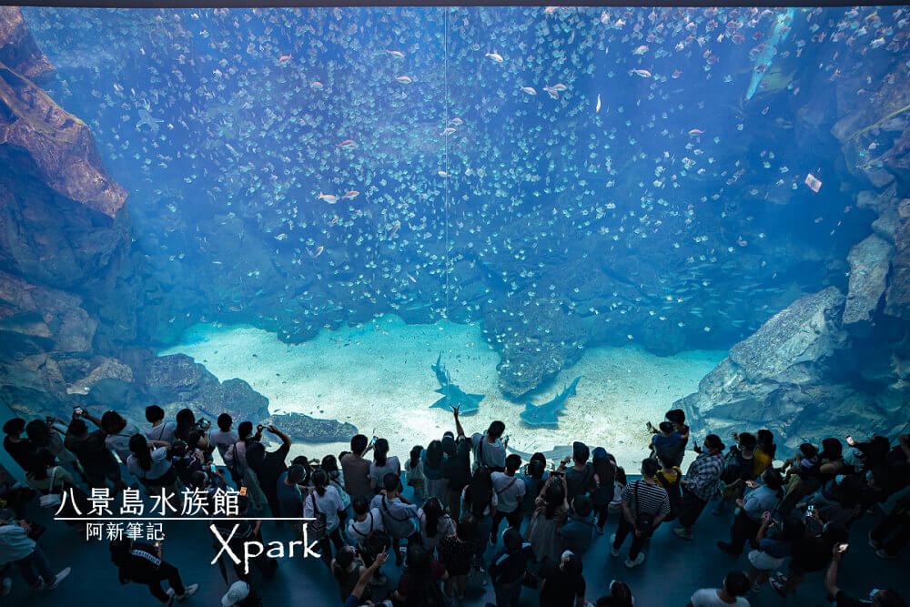 Xpark |2020最人氣桃園水族館，xpark門票價格、xpark交通及13區介紹～