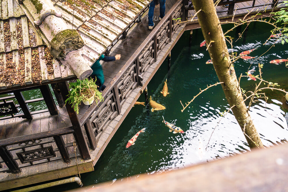 中壢美食,中壢景觀餐廳,友竹居茶藝館,友竹居 中壢美食,中壢景觀餐廳,友竹居茶藝館,友竹居