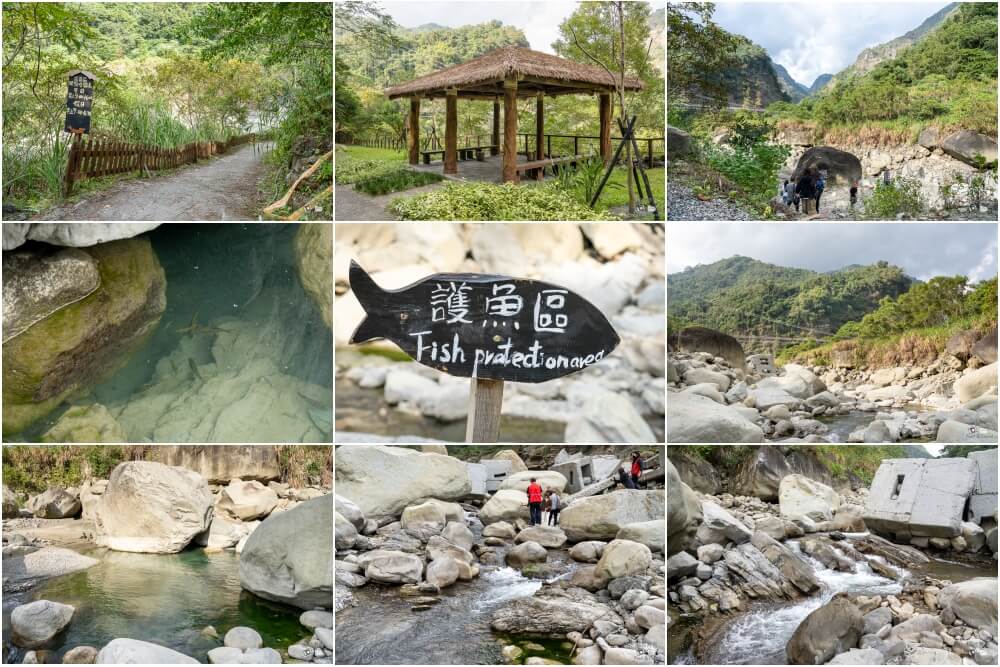 達娜伊谷,達娜伊谷風景區,達娜伊谷阿里山,阿里山景點,嘉義景點推薦,阿里山部落旅遊,嘉義旅遊景點,阿里山一日遊,嘉義自然景點,達娜伊谷生態園區