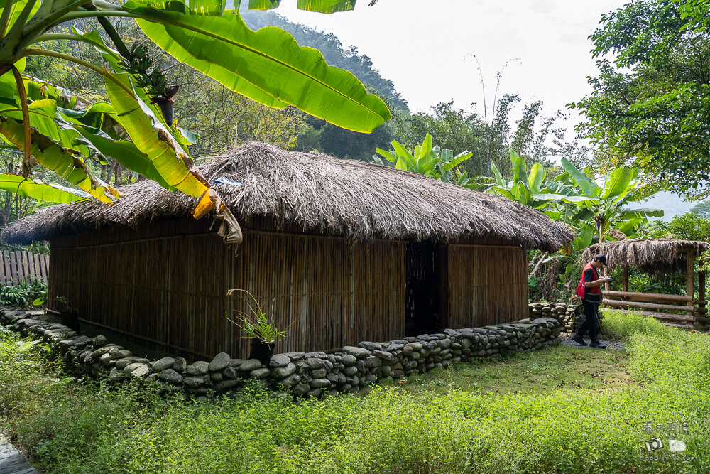 達娜伊谷,達娜伊谷風景區,達娜伊谷阿里山,阿里山景點,嘉義景點推薦,阿里山部落旅遊,嘉義旅遊景點,阿里山一日遊,嘉義自然景點,達娜伊谷生態園區