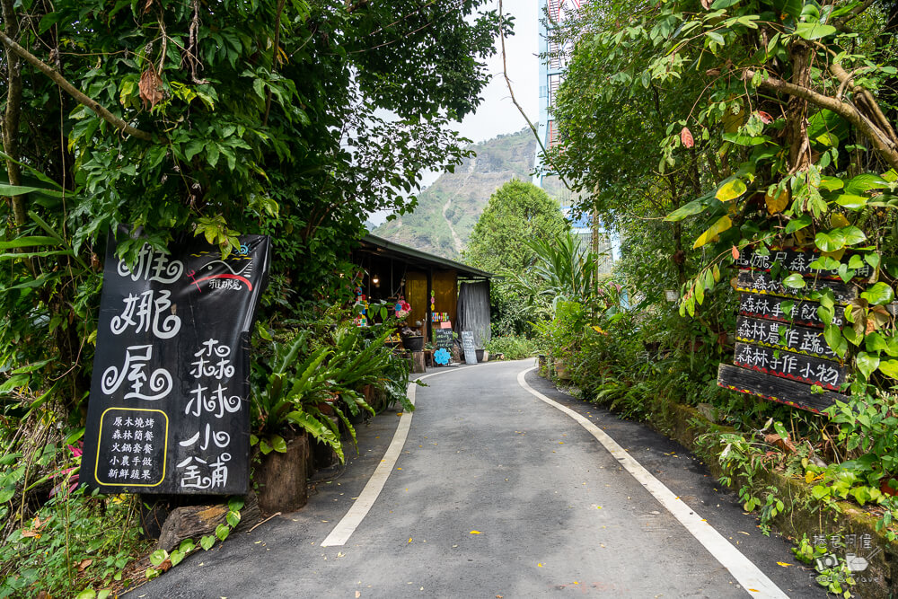 達娜伊谷,達娜伊谷風景區,達娜伊谷阿里山,阿里山景點,嘉義景點推薦,阿里山部落旅遊,嘉義旅遊景點,阿里山一日遊,嘉義自然景點,達娜伊谷生態園區